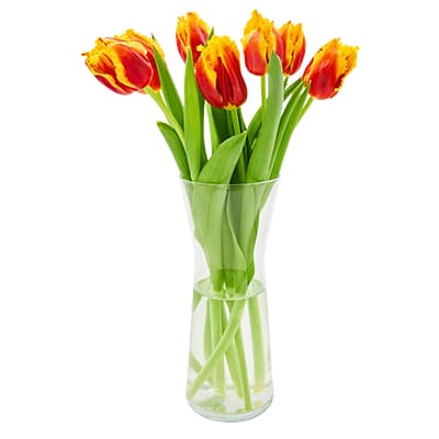 flower pot