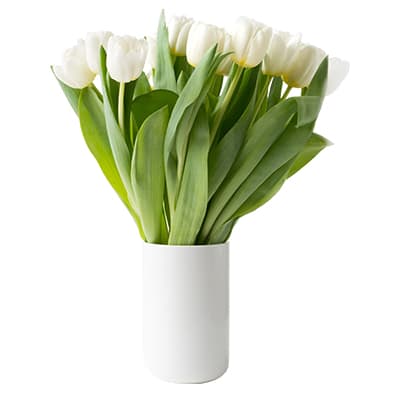 flower pot