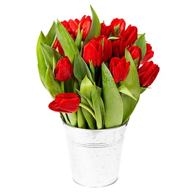 flower pot
