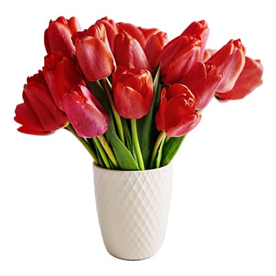 flower pot